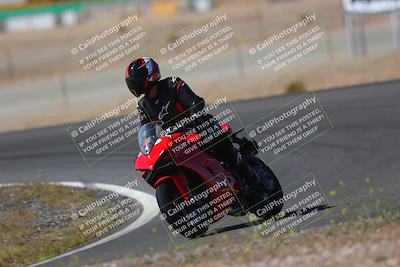 media/May-09-2022-Moto Forza (Mon) [[0226cf3505]]/Group C/C 940am/